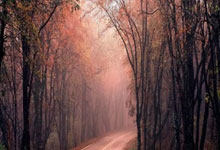 传闻球队内部矛盾丛生，可能影响比赛表现