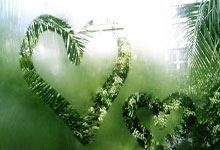 传闻球队内部矛盾丛生,可能影响比赛表现