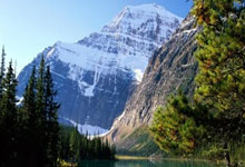 勇士队新赛季墨尔本联赛水火箭