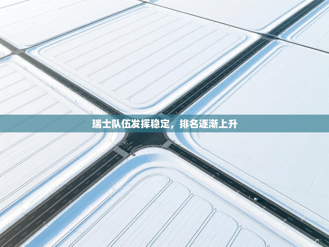 瑞士队伍发挥稳定，排名逐渐上升