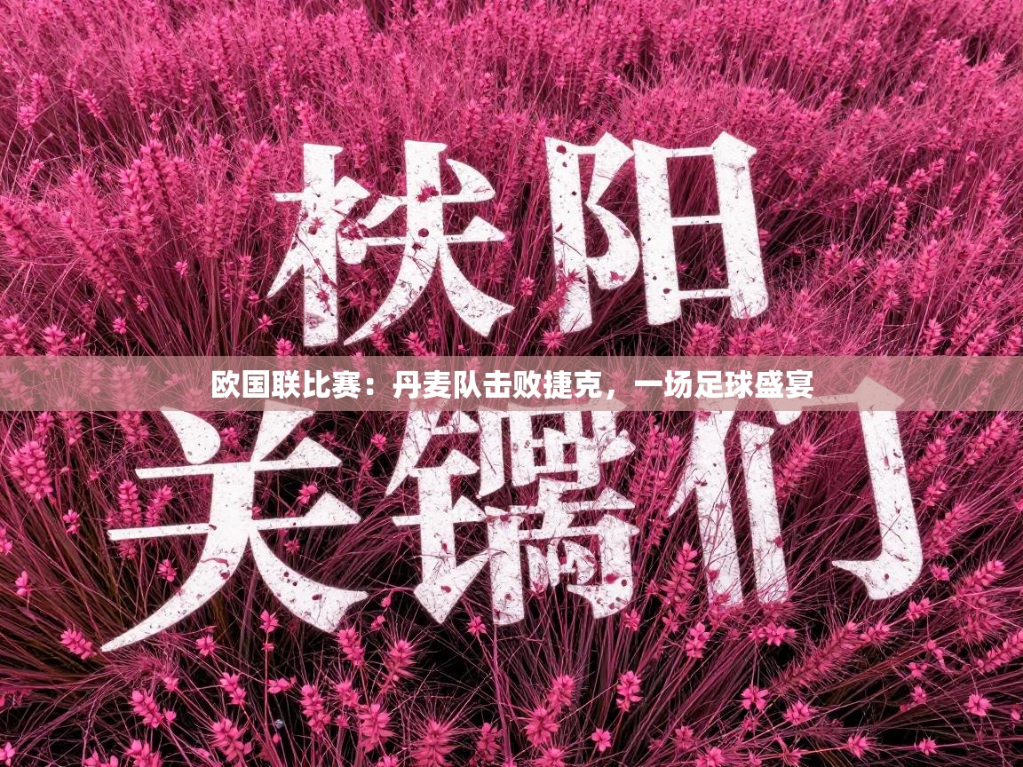 欧国联比赛：丹麦队击败捷克，一场足球盛宴  第1张